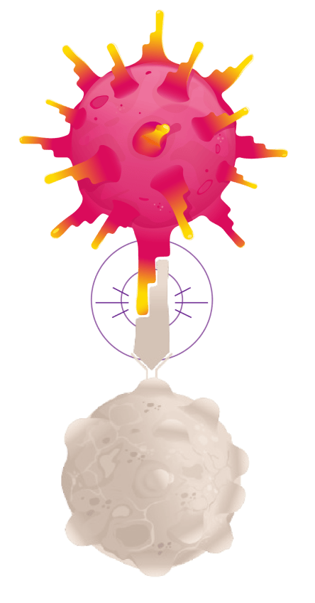 Image of a TECELRA engineered T cell's TCRs targeting a synovial sarcoma cell